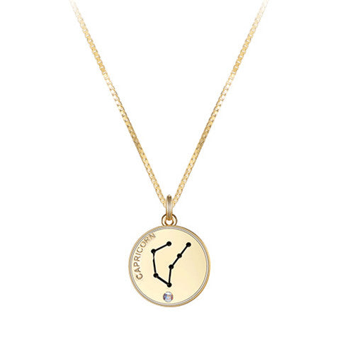 12 Constellations Coin Disc Necklace Sign Of Star Zodiac Pendant